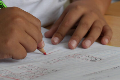 Ensino de tupi, Tupi obrigatório, Projeto